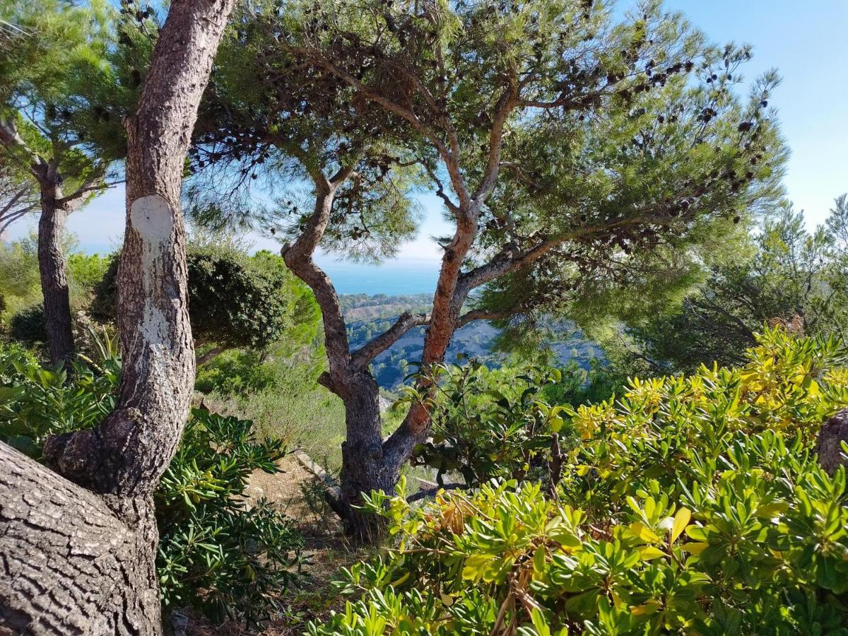 Sweet Calanque - Host Provence Apartment Cassis Exterior foto